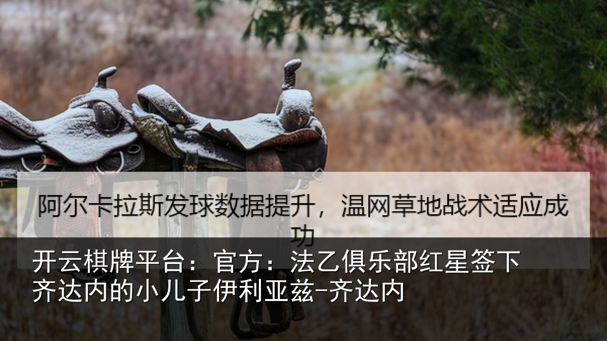 开云棋牌平台：官方相关情况下相关情况利亚兹-齐达内