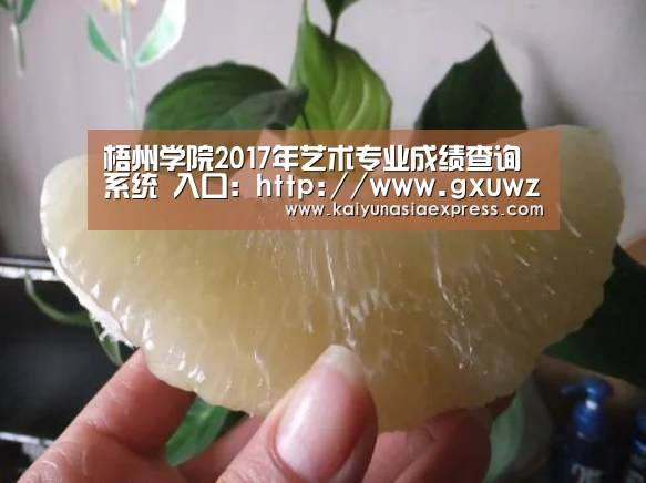 梧州学院2017年艺术专业成绩查询系统 入口：http://
